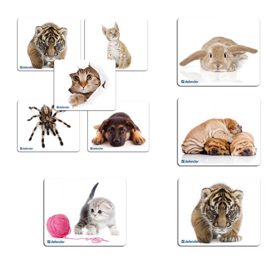 a711be2a-fd01-11e7-b770-3085a9a964c4_5bae206b-fdc0-11e7-920a-3085a9a964c4