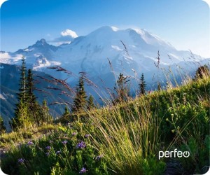 pci-ex-powercolor--ax6670-1gbd5-h--0