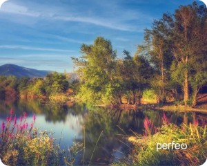 pci-ex-powercolor--ax6670-1gbd5-h--0