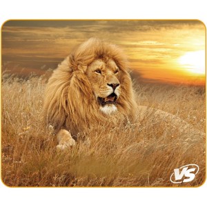 snr_new_235272_0_20191023_1221