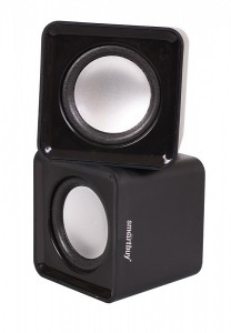 партсокей (4)