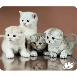 snr_new_253647_0_20201019_1313