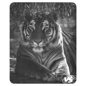 VS-Tiger-1000x1000